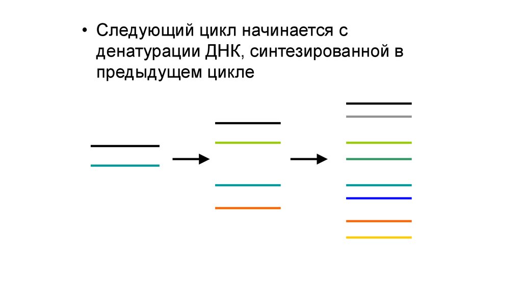 Следующем цикле