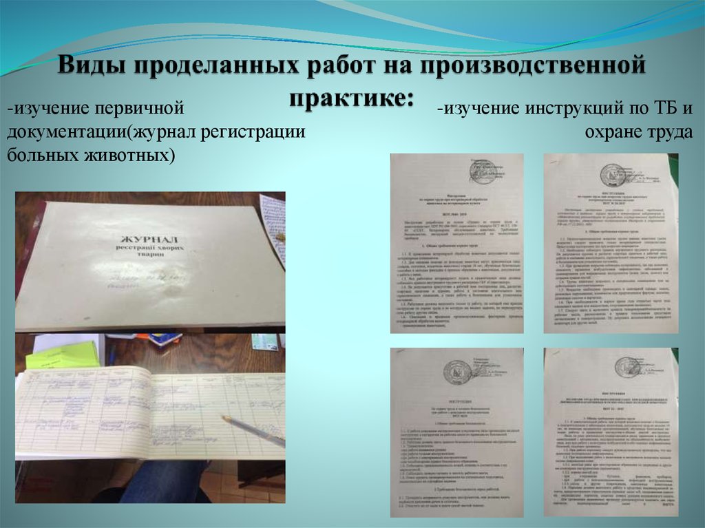 Виды проделанных работ на производственной практике: