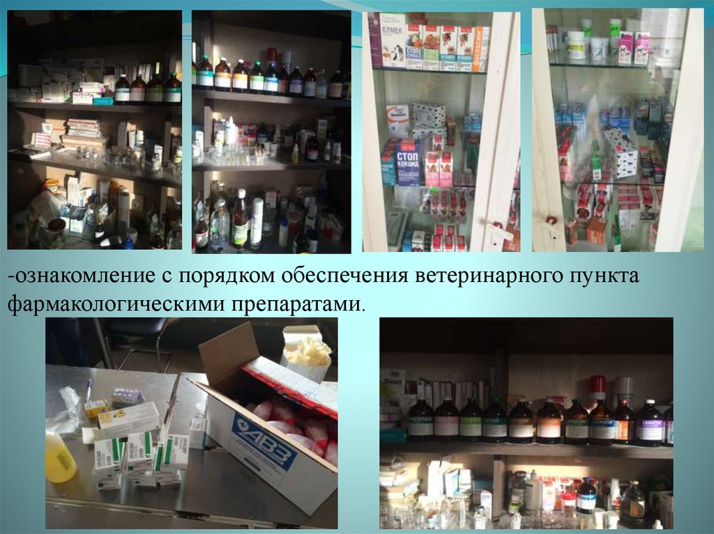 -ознакомление с порядком обеспечения ветеринарного пункта фармакологическими препаратами.