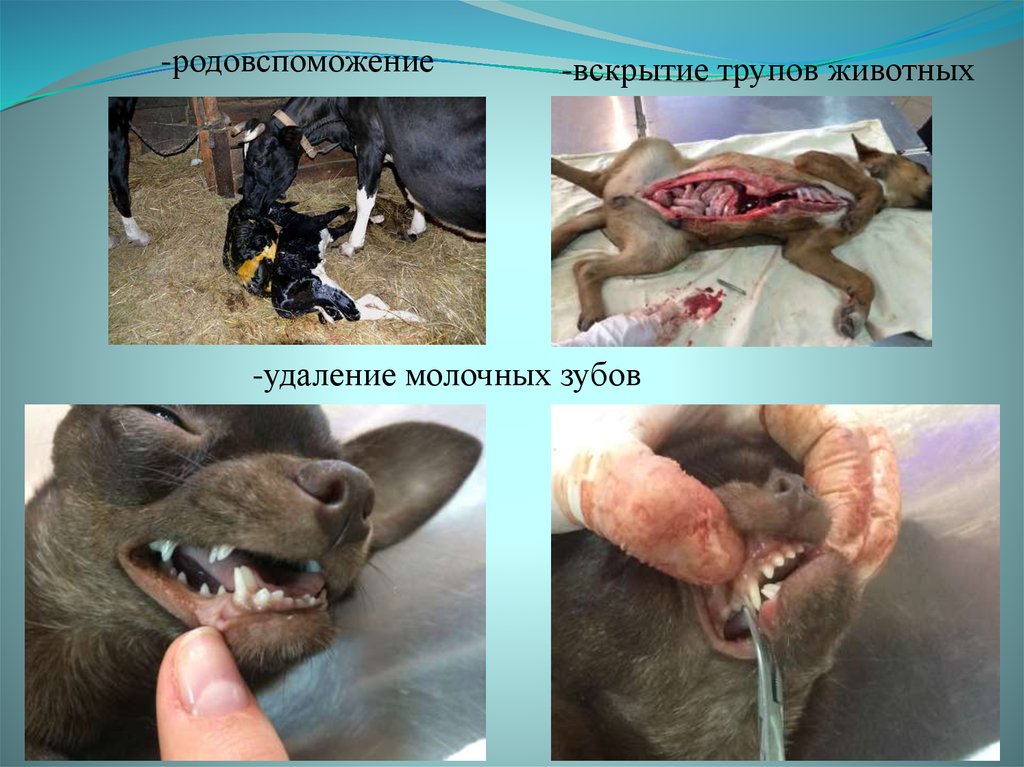 -родовспоможение