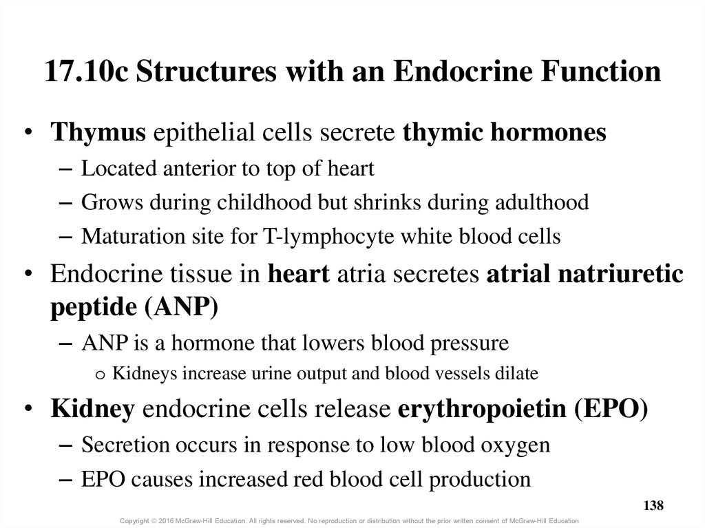 17.10c Structures with an Endocrine Function