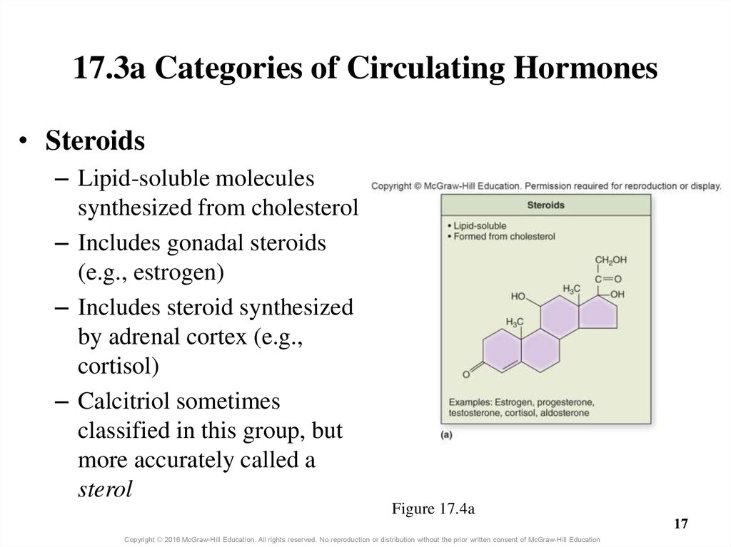 17.3a Categories of Circulating Hormones