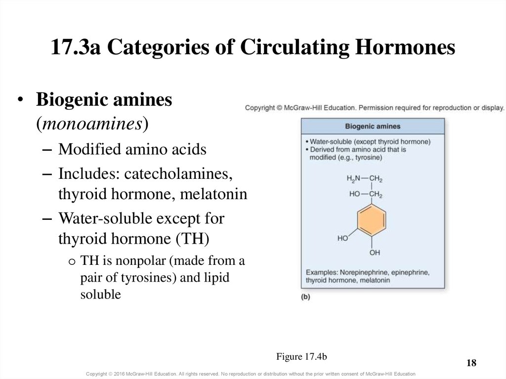 17.3a Categories of Circulating Hormones