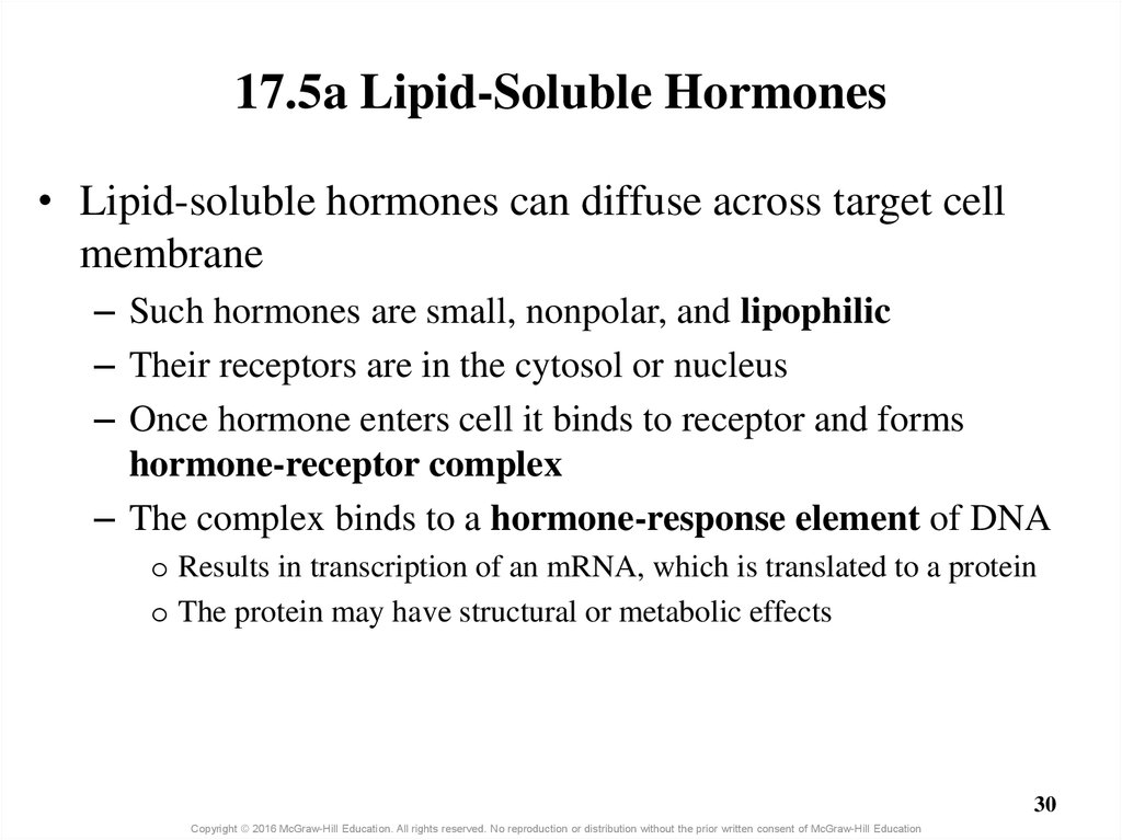 17.5a Lipid-Soluble Hormones