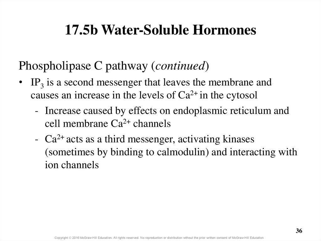 17.5b Water-Soluble Hormones