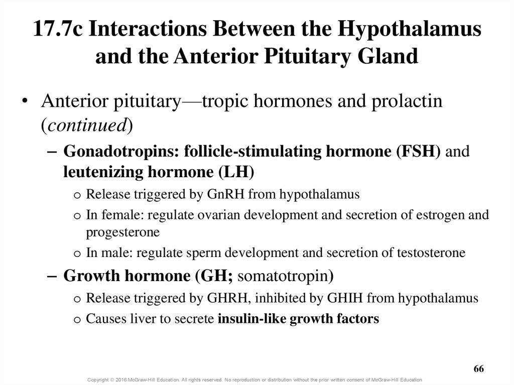 17.7c Interactions Between the Hypothalamus and the Anterior Pituitary Gland