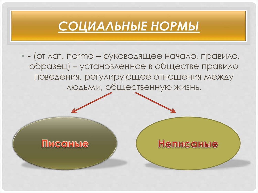 Социальными нормами являются. Неписаные социальные нормы. Социальные нормы общения. Писаные и неписаные соц нормы. Руководящее начало правило образец.