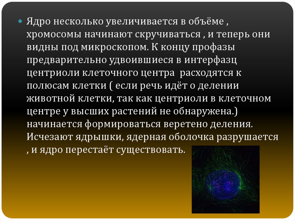 Исчезновение ядерной оболочки разрушение веретена деления. Кратковременная долговременная и Оперативная память. Кратковременная, долговременная и Оперативная память в психолги. Долговременная память это в психологии. Глобальные компьютерные сети презентация.