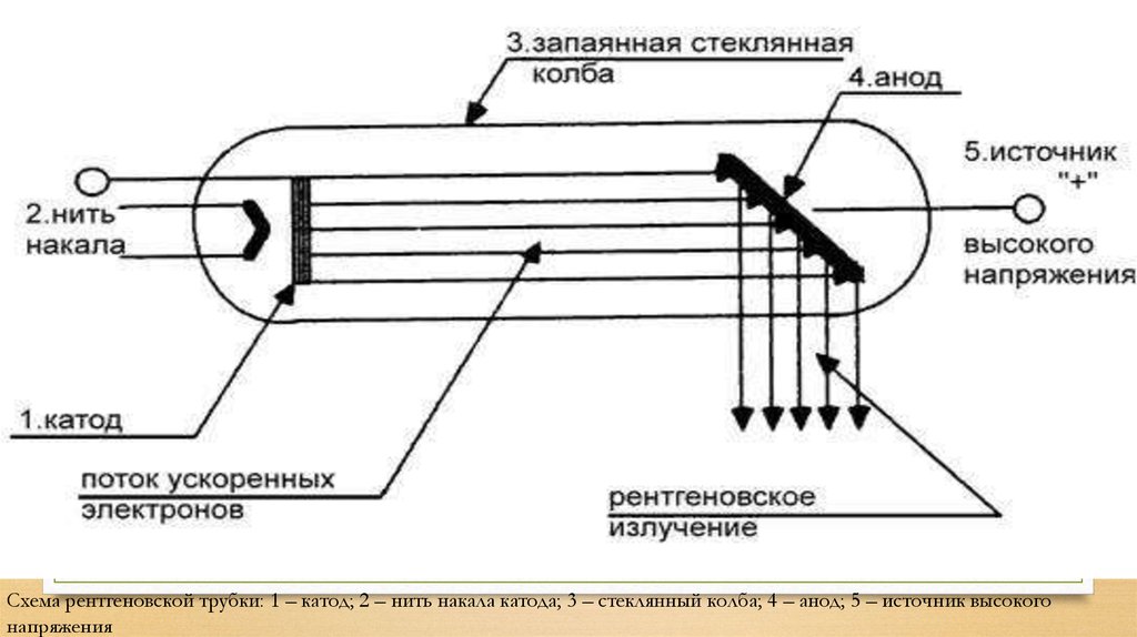 Элементы рентгеновской трубки схема