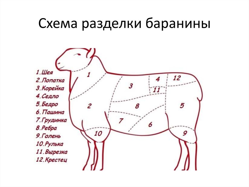 Часть баранины для плова. Схема разруба туши баранины. Части туши барана схема.