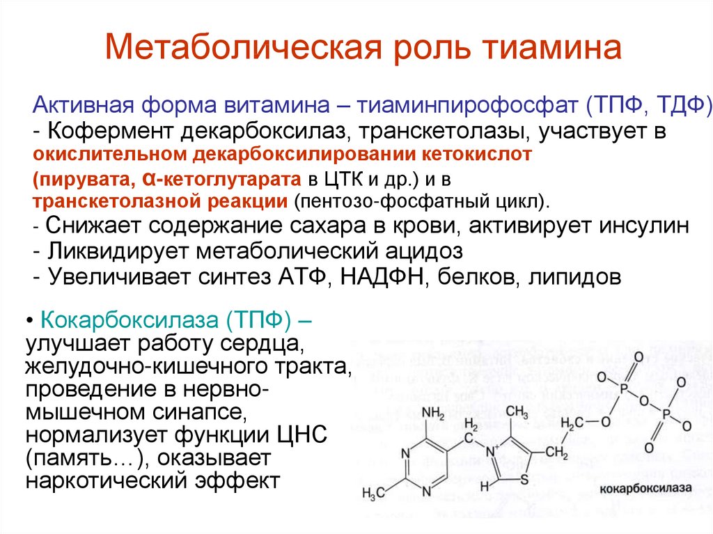 Активная форма. Кофермент витамина в1 тиаминдифосфат ТДФ. Активная форма кофермент витамина b1. Витамин тиамин кофермент. Тиаминпирофосфат – кофермент декарбоксилаз.