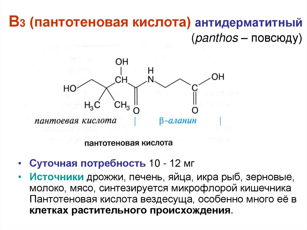 Витамины группы б презентация биохимия