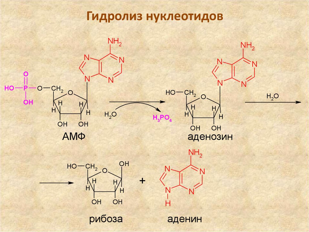 Схема кислотного гидролиза