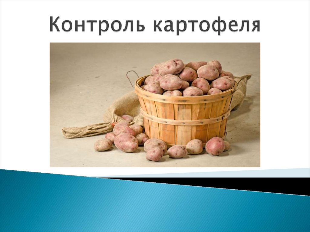 7 картошку. Фон для презентации картошка. Рамка презентации картошка. Хранилище картофеля для презентации. Шаблон презентации картофель.