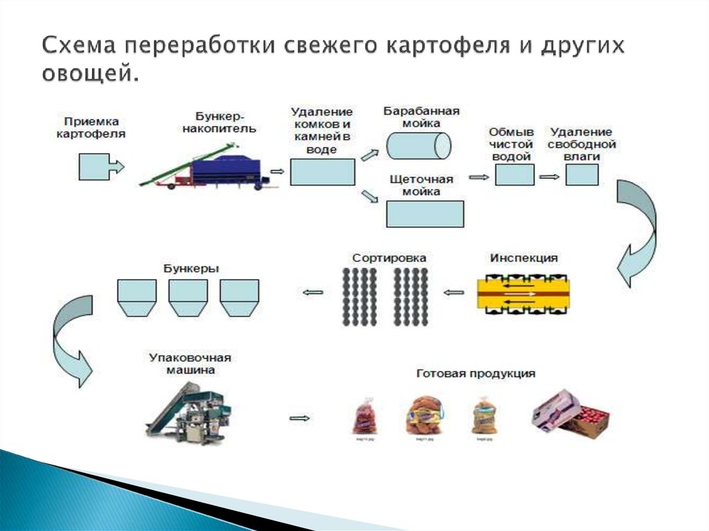 Схемы переработки сельскохозяйственной продукции с учетом качества сырья