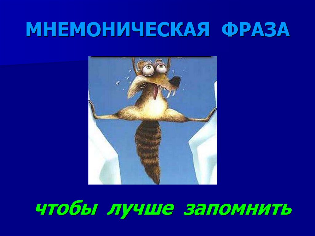 МНЕМОНИЧЕСКАЯ ФРАЗА