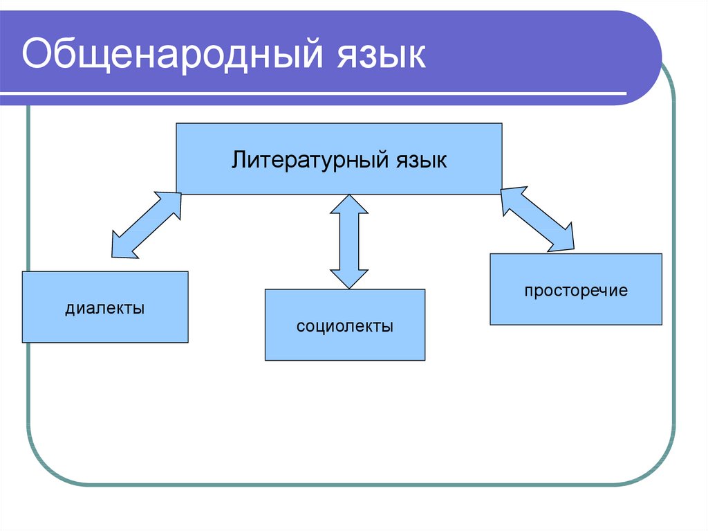 Организация литературного языка