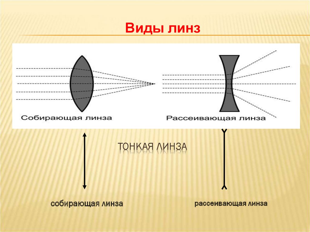 Что такое линза. Тонкая собирающая линза. Тонкая рассеивающая линза. Рассеивающая и собирающая тонкие линзы. Тонкая линза физика.