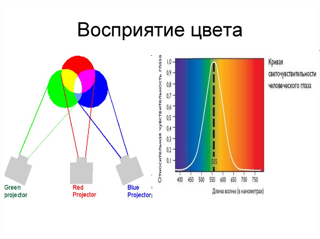 Восприятие цветов