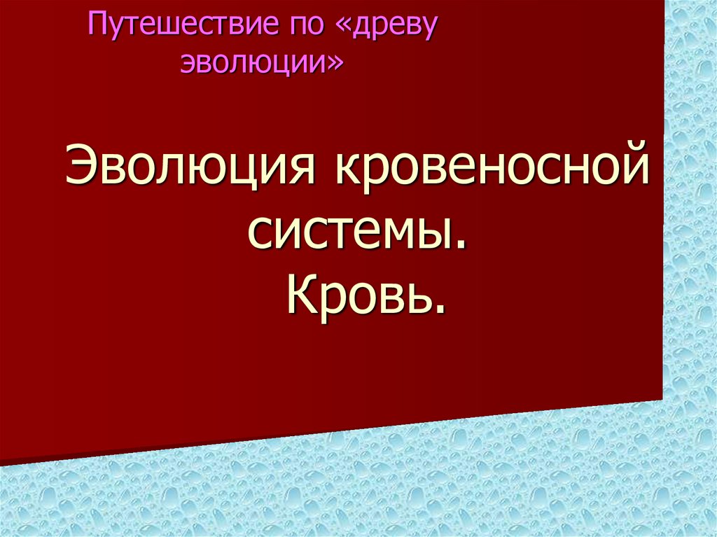 Презентация эволюция кровеносной системы