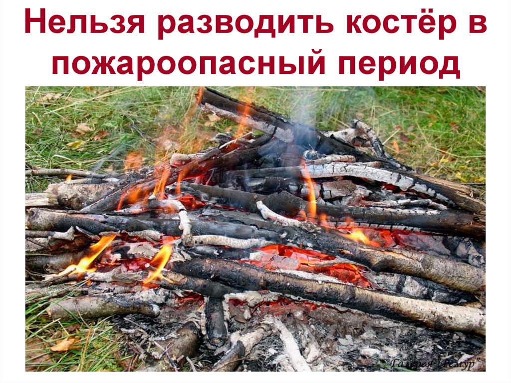 Разводить костер в лесу запрещено. Нельзя разводить костер. Пожароопасный период. Разжигать костер. Запретить: - разведение костров в лесах.
