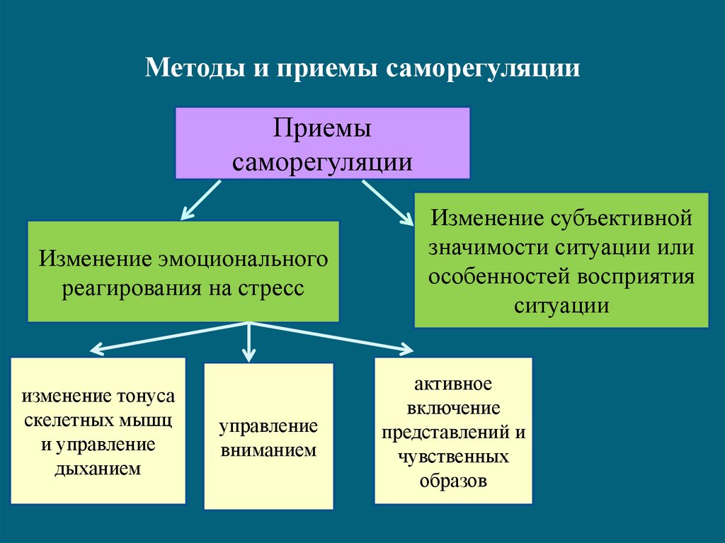 Общество саморегуляции