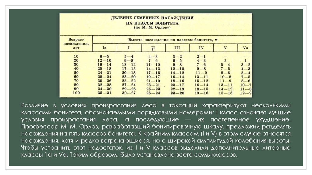 Общий вид леса таблица