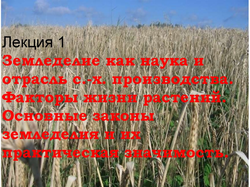 Законы хозяйства. Земледелие как наука. Факторы земледелия. Факторы жизни растений и законы земледелия. Факторы жизни растений и законы земледелия презентация.