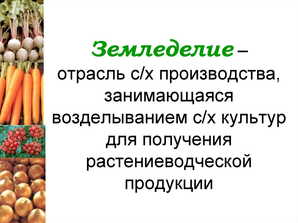 Технология сельскохозяйственного производства и земледелия 8 класс презентация