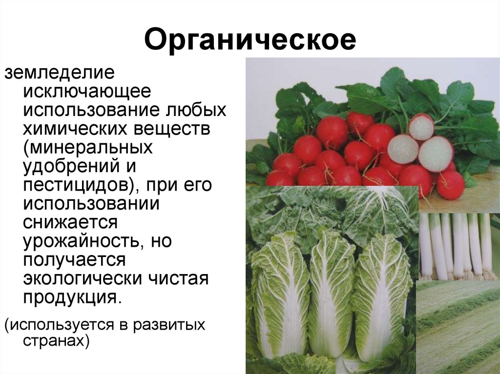 Задачи отрасли сельского хозяйства. Плюсы использования химических веществ в земледелии. Земледелие как наука. Неприменение пестицидов для экологически чистой продукции. Как в органическом земледелии используют Минеральные вещества.