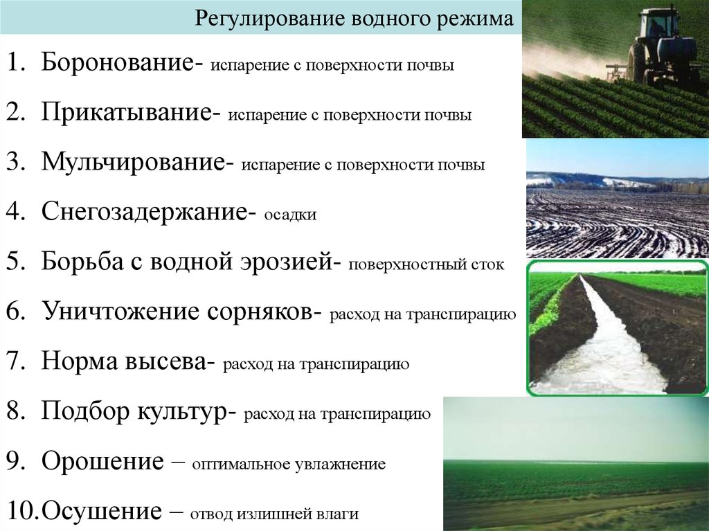 Дайте характеристику отрасли растениеводства по плану