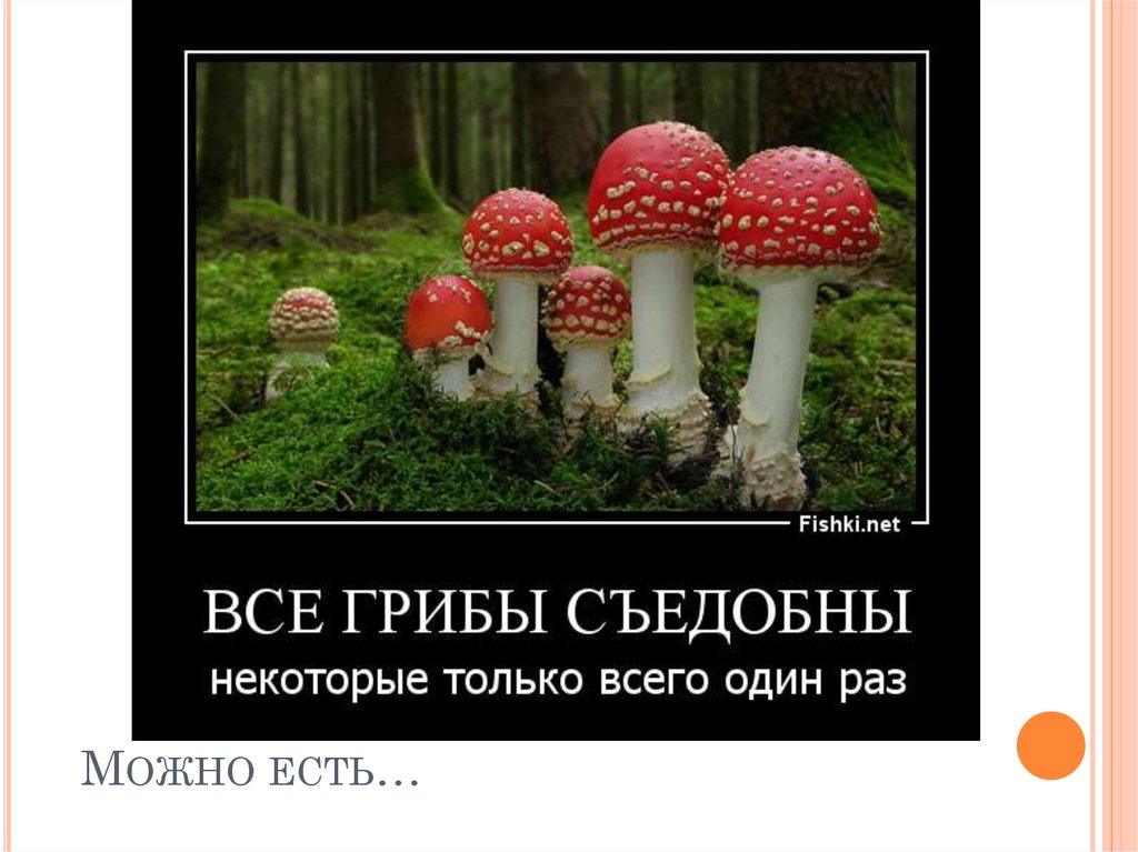 Некоторые можно. Все грибы можно есть но некоторые только один раз. Все грибы съедобные но некоторые только. Все грибы съедобные но некоторые один раз. Шутки про грибы.