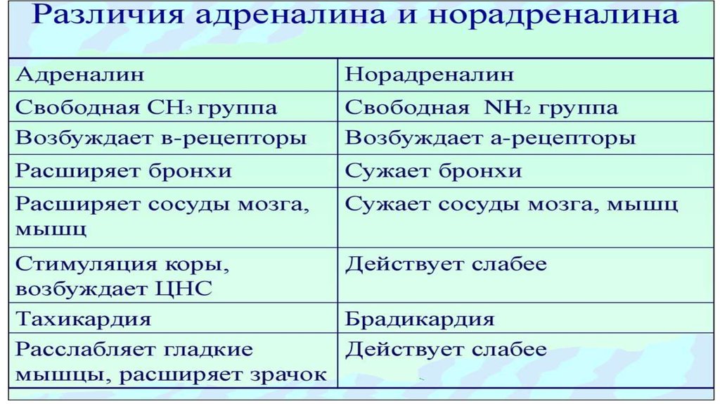 Адреналин и норадреналин функции. Адреналин и норадреналин отличие. Различия адреналина и норадреналина. Адреналин и норадреналин гипофункция и гиперфункция. Отличие адреналина от норадреналина.