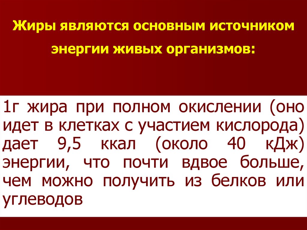 Жиры являются. Основным источником энергии у живых организмов являются. Основной источник энергии для живых организмов. Жиры являются важным источником:.