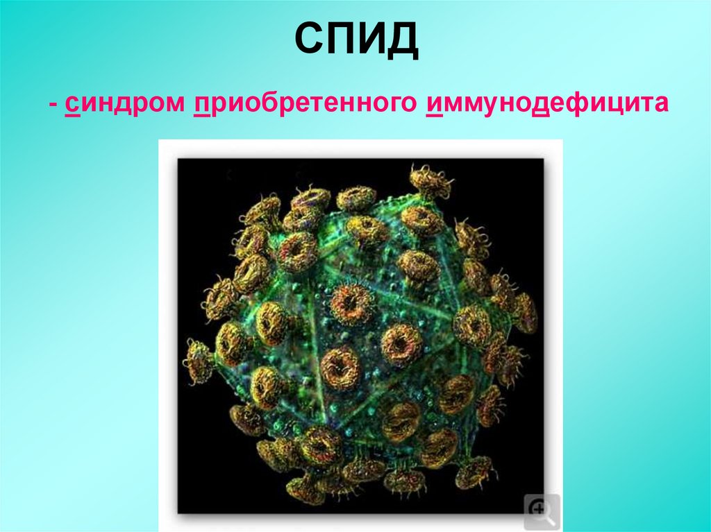 Вич биология. Вирус СПИДА. Сообщение о вирусе ВИЧ. ВИЧ неклеточная форма жизни. Вирус СПИДА презентация.