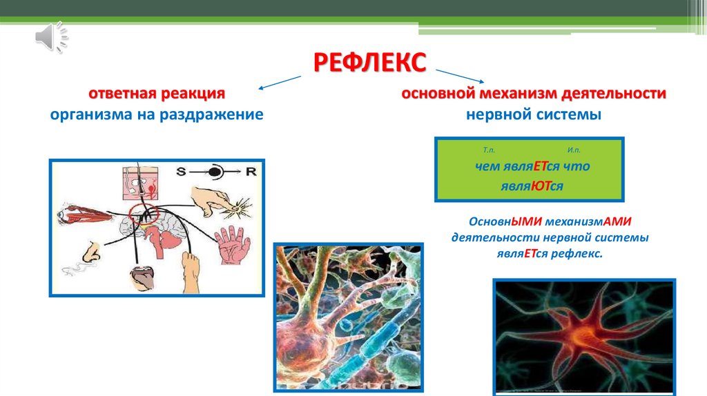 Барьерные ткани организма. Рефлексы человека презентация. Рефлексы человека биология. Рефлекс это ответная реакция организма. Поведение человека рефлекс презентация.