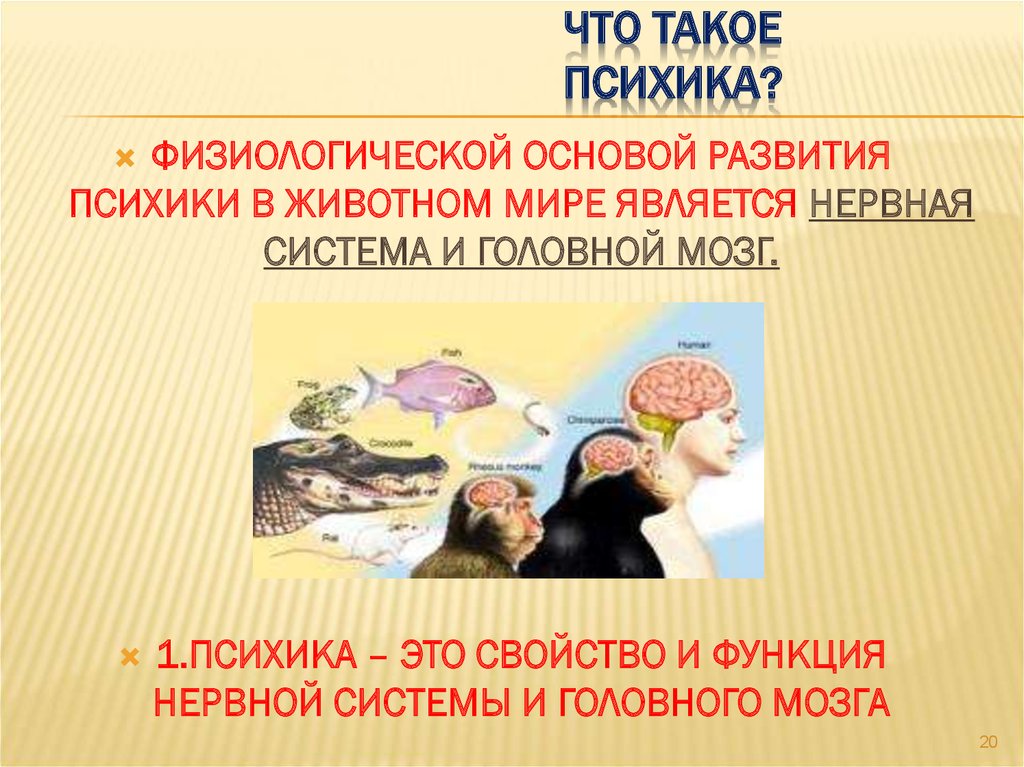 Что такое психика