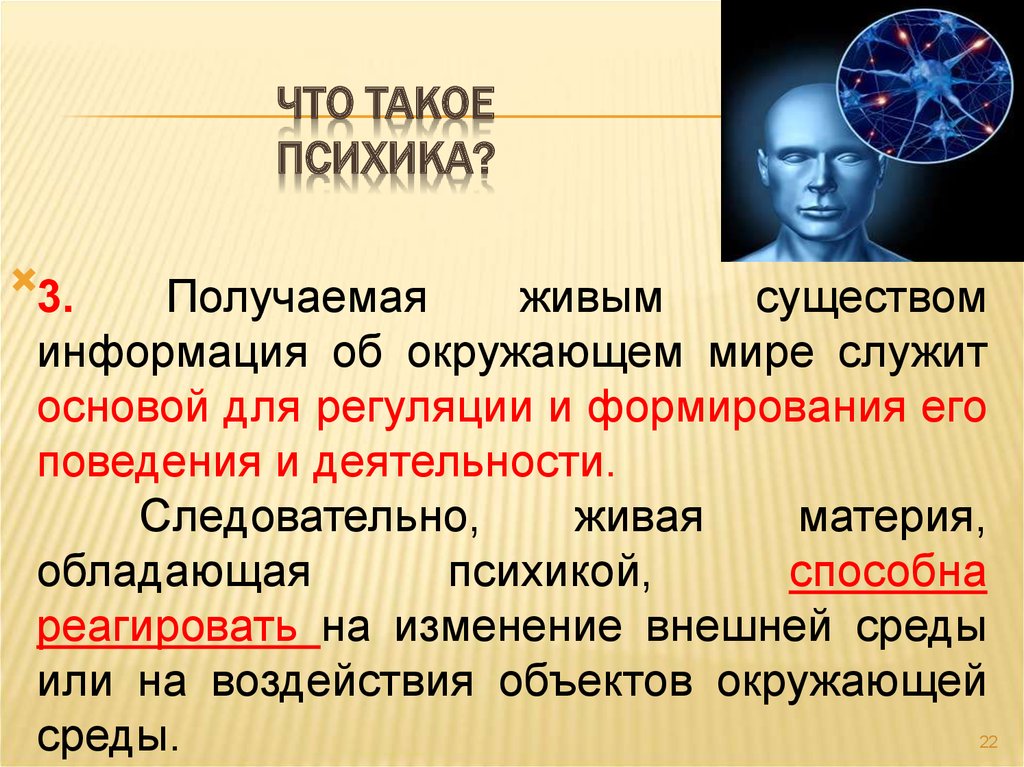 Что такое психика. Психика. Псика.