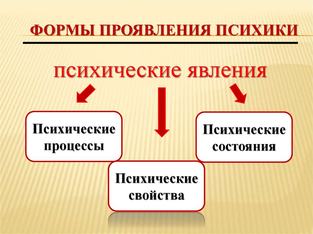 Проявления психики. Формы проявления психики. Психика формы проявления психики. Психические явления и формы проявления психики.. Одной из форм проявления психики является.