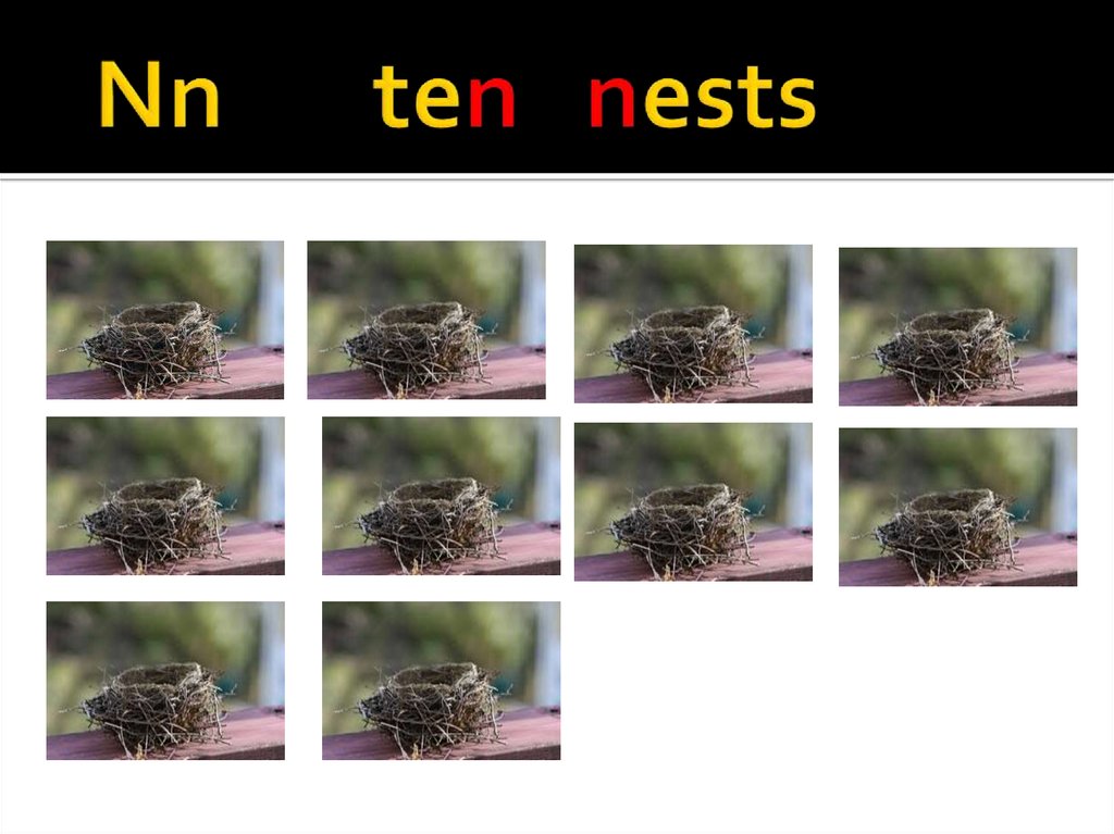 Nn ten nests
