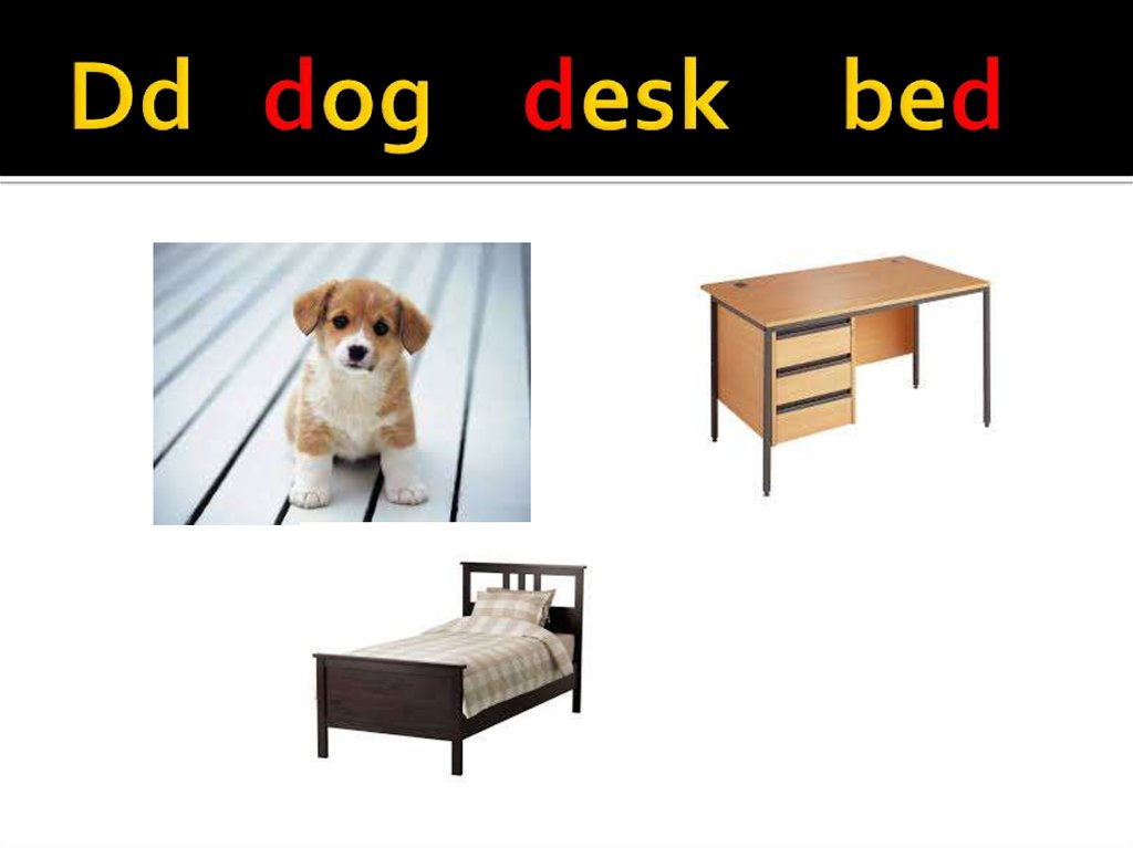 Dd dog desk bed
