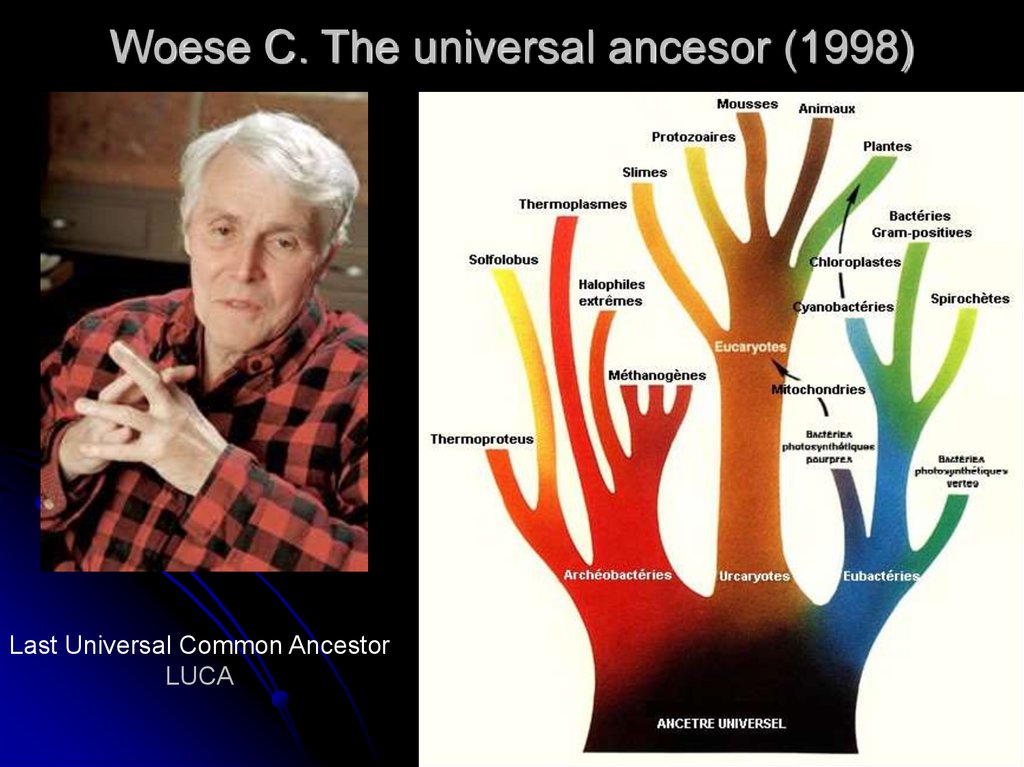 Woese C. The universal ancesor (1998)