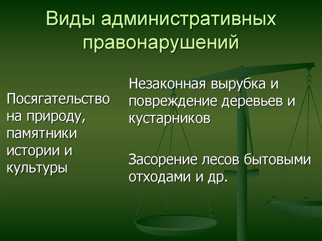 Виды административных правонарушений презентация