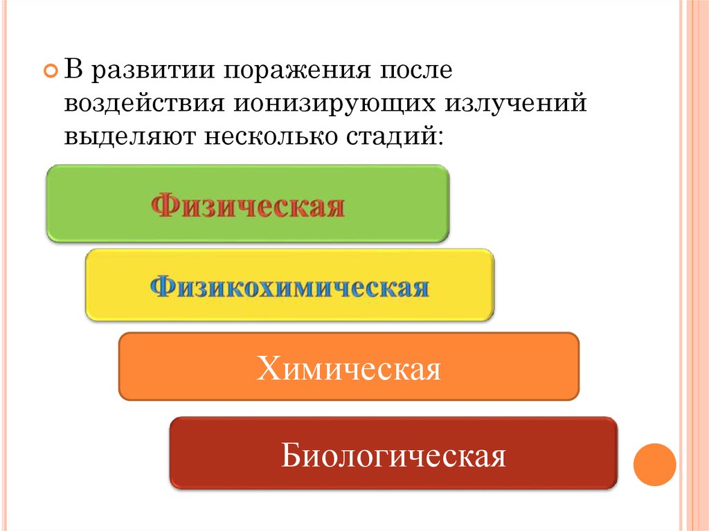 Стадии действия. Основные стадии воздействия излучения. Основные стадии в действии ионизирующих.