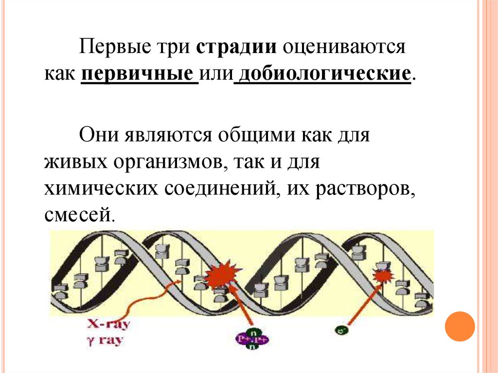 Стадии действия ионизирующих излучений