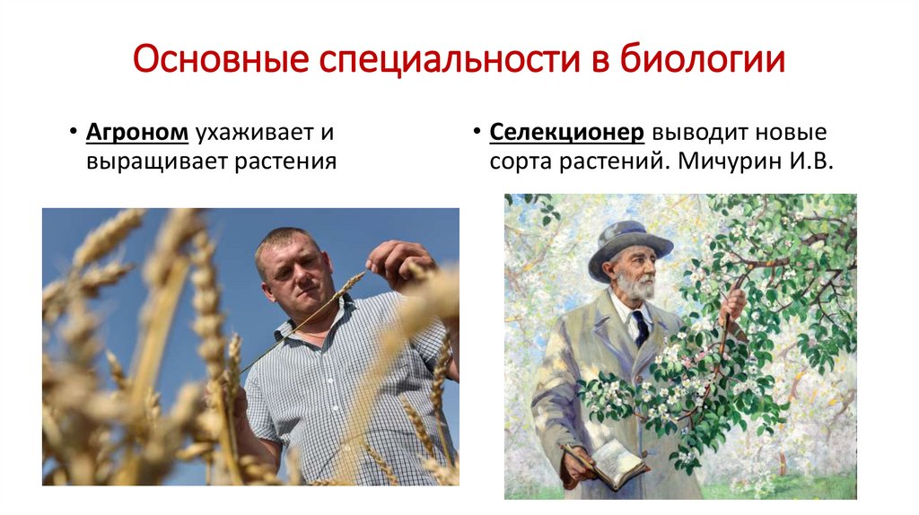 Основные специальности