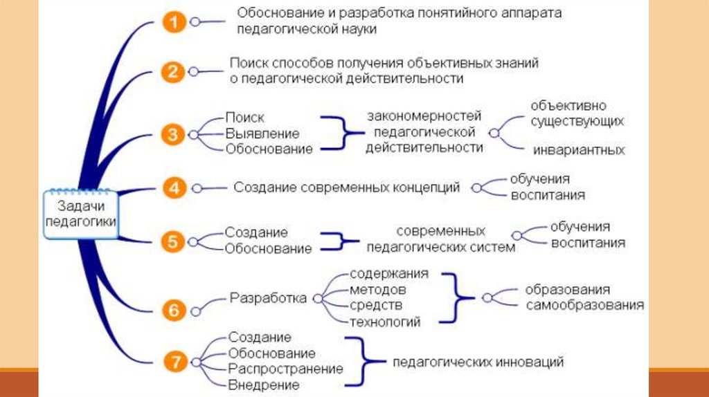 Социальная педагогика наука и практика