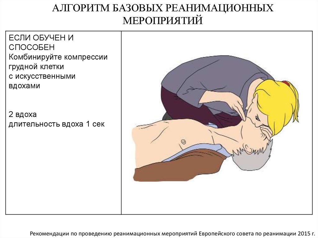 Проведение реанимационных мероприятий. Алгоритм базовых реанимационных мероприятий. Алгоритм выполнения реанимационных мероприятий. Базовый комплекс реанимационных мероприятий. Алгоритм выполнения базовых реанимационных мероприятий.