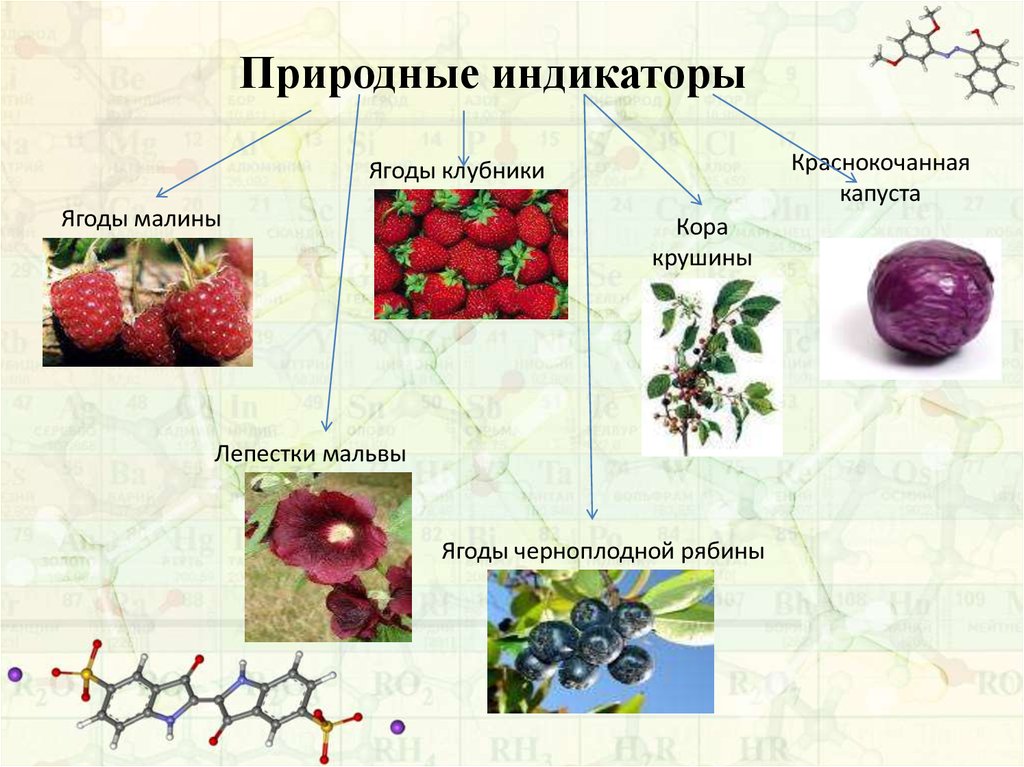 Природные индикаторы проект