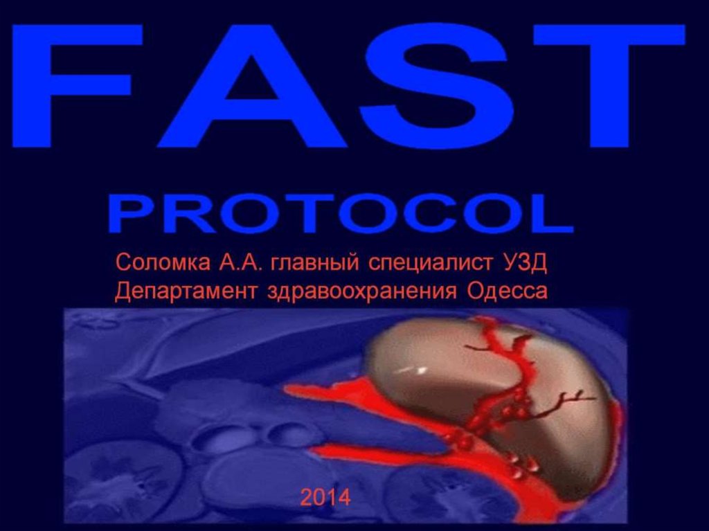 Fast protocol. Proton vpn логотип. Фаст протокол узи при травме. Fast протокол узи при травме. Узи fast протокол исследования.